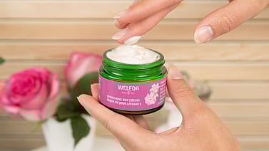 hand scooping weleda smoothing day cream