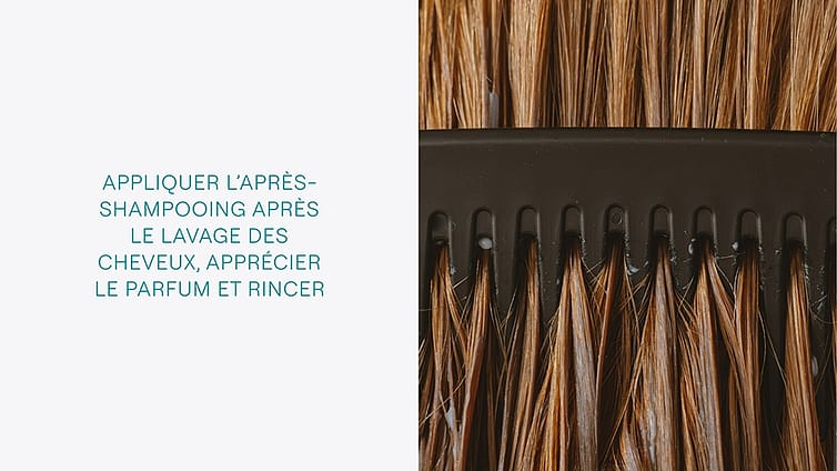 Peigne peignant les cheveux