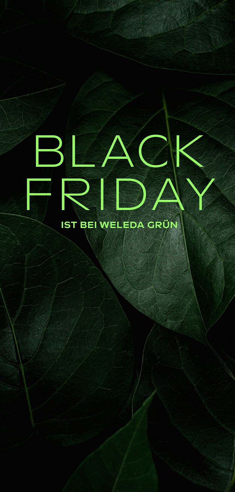 Black Friday ist bei Weleda grün