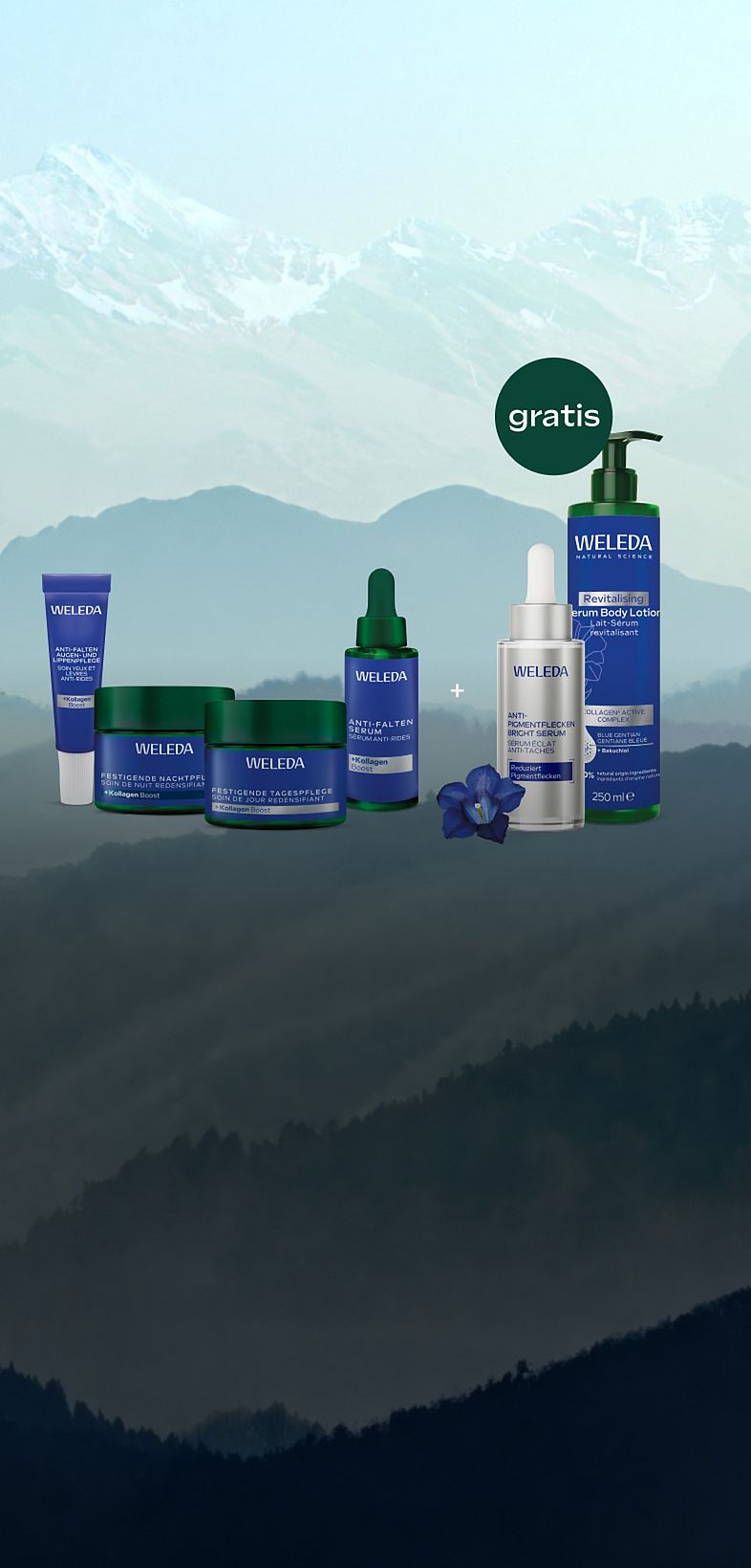 VORTEILS-SET Blauer Enzian 4+2