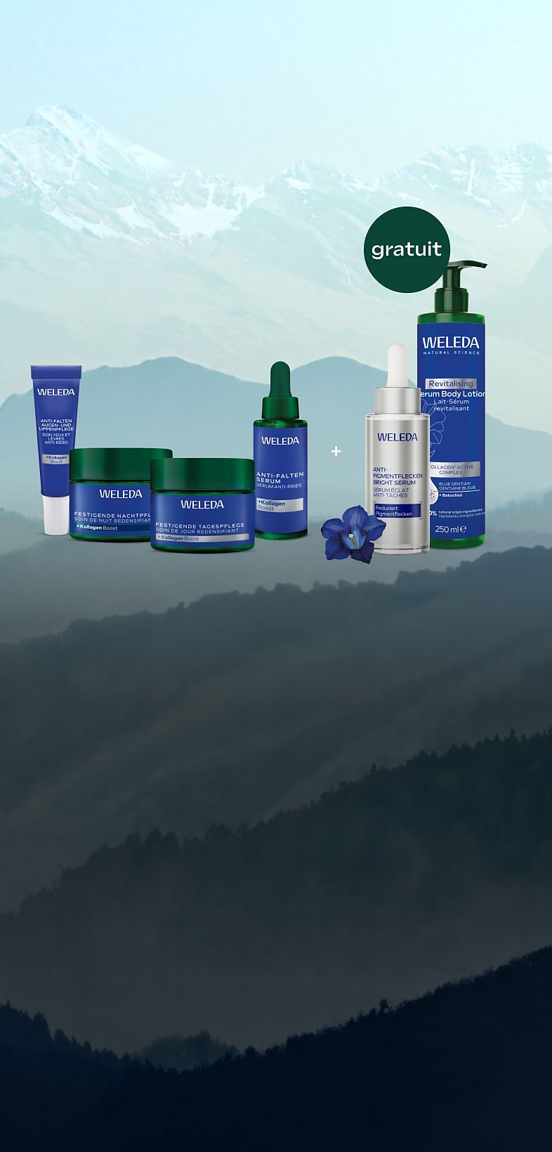 Ensemble avantage Gentiane bleue 4+2