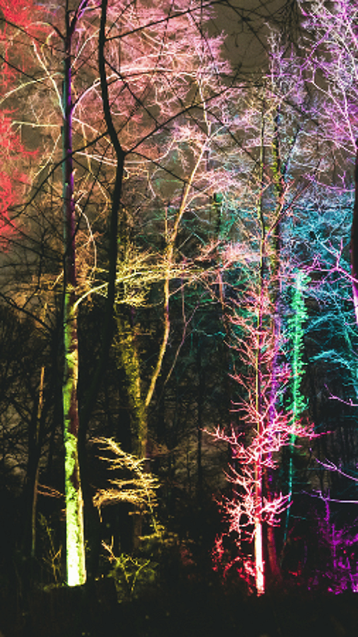 Festival de Lumières Floridylle