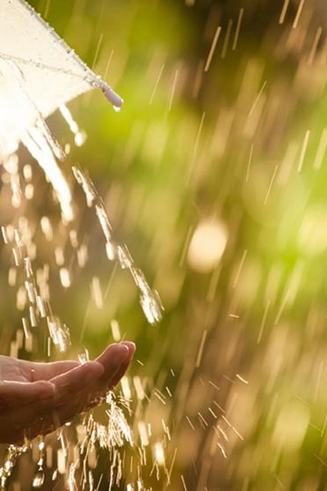 Regen und Regenschirm
