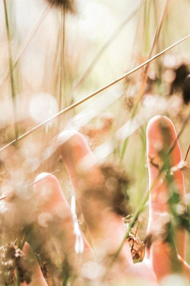 Vrouw ruikt aan een bloem