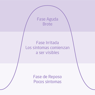 grafico con las fases de la piel atopica del bebe