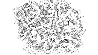 Disegno dei semi di fiore di calendula