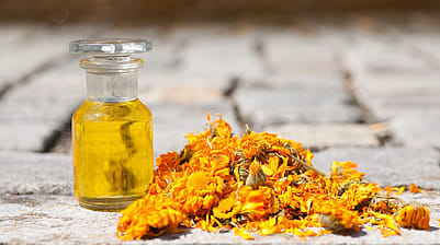 Flasche mit Öl umringt von Calendula Blüten