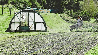 biodynamic garden