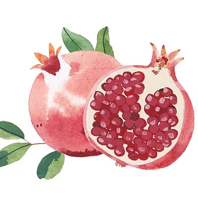 imagen de granada para crema facial