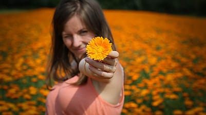 femme dans un champ de calendula