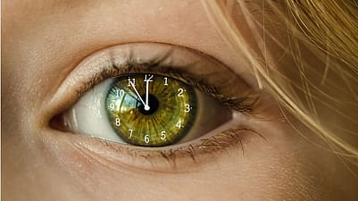 eye