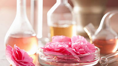 Roses in petri dish with oil in background