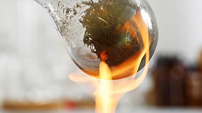 Ein Glaskolben mit trockenen Pflanzenstoffen ueber einer Flamme