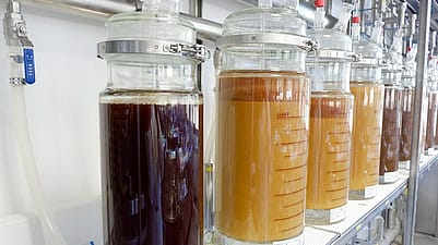 Grosse Glasbehaelter mit verschiedenen Pflanzenextrakten