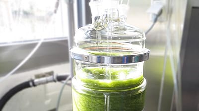 Gruene Masse in einem Glasgefaess