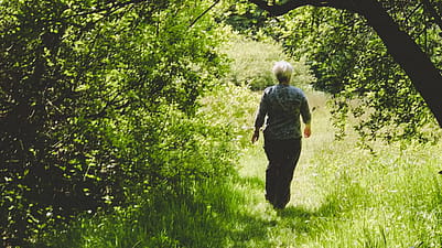 Spaziergang im Wald
