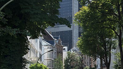 houses in big city