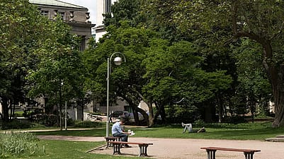 park in city