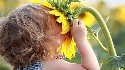 niño tapandose la cara con un girasol