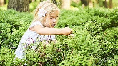 fille qui s'amuse dans la nature