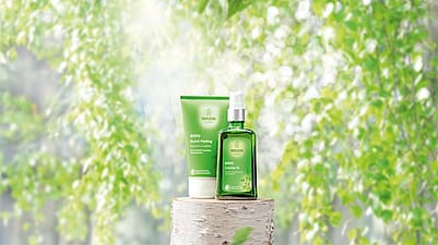 productos de abedul anticeluliticos