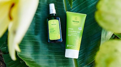 Citrus Körperöl & Dusche