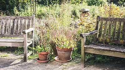 jardin