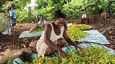 Woman sitting on ground