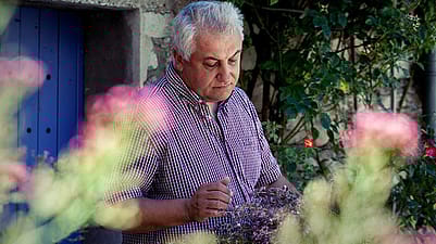 woman looking at flowers