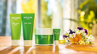 productos de Skin Food