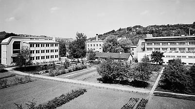 Weleda partout dans le monde