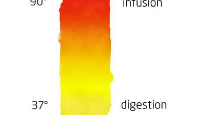 fabrication teintures mères