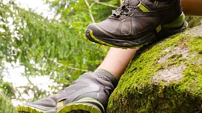 chaussures de randonnée