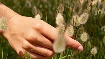 Hand door de bloemen