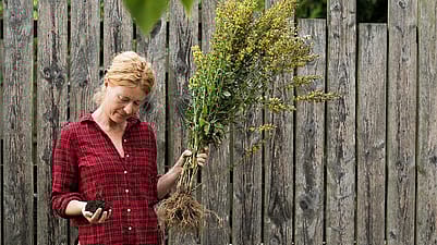 gardener with plants and soil