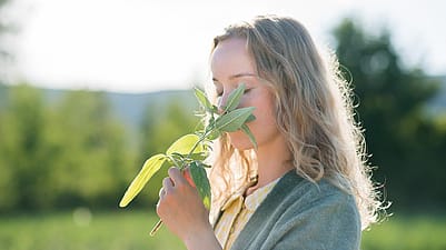 weleda recherche et développement