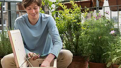 junger Mann gibt Kuechenabfaelle in den Wurmkomposter