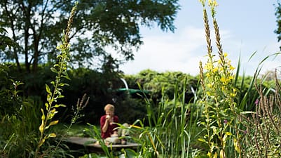 Plantentuin Meise