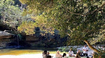 people sitting under a tree