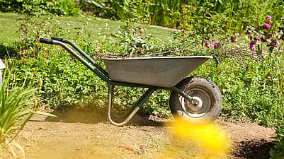 Schubkarre in einem Garten