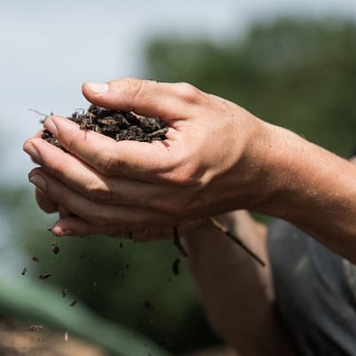 manos cogiendo tierra del suelo del campo