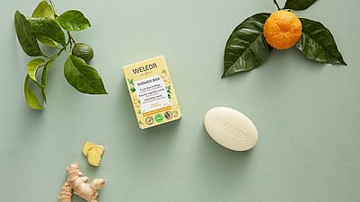 Ginger soap.