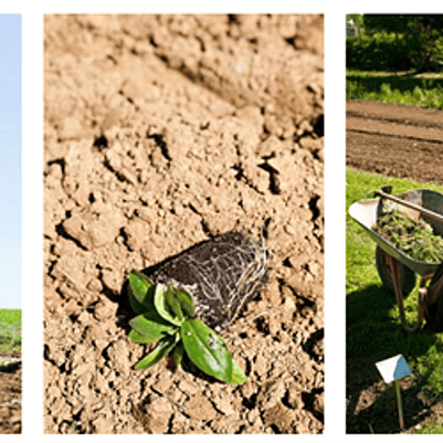 persona trabajando en el campo en diferentes etapas: segar, cultivar, plantar...