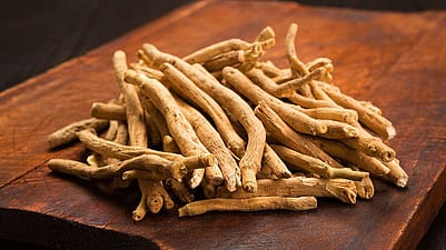 Ashwagandha Wurzel