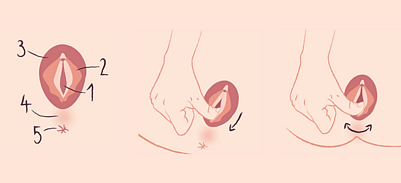 overzicht perineummassage