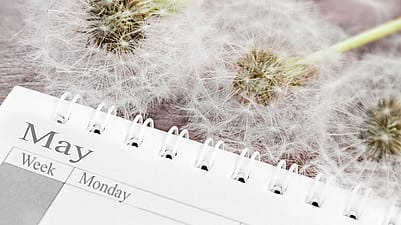 Pollenkalender