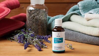 Lavendelöl 10%, Tücher, Lavendel