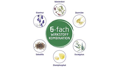 6 Kombinationspräparat aus fünf ausgewählten Heilpflanzen und Ferrum phosphoricum