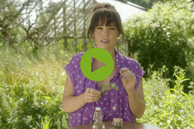 Gwen van Poorten met Skin Food