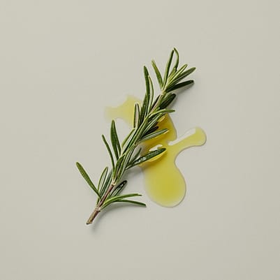 rama de romero con aceite de romero